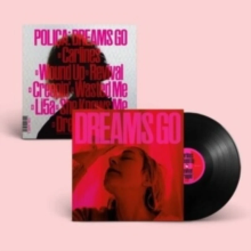 Image of Dreams Go Vinyl