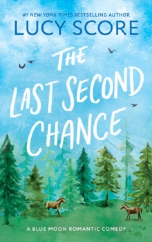 Image of The Last Second Chance : A Small Town Enemies to Lovers Romcom Paperback / softback