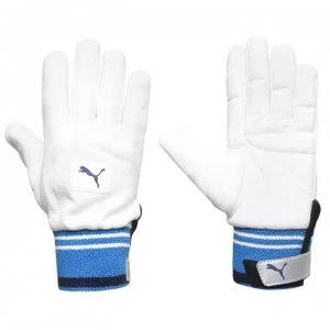 Image of Puma Evo Full Cricket Gloves - Natrual/Blue