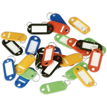 Image of Sealey 25 Piece Key Tag Assortment