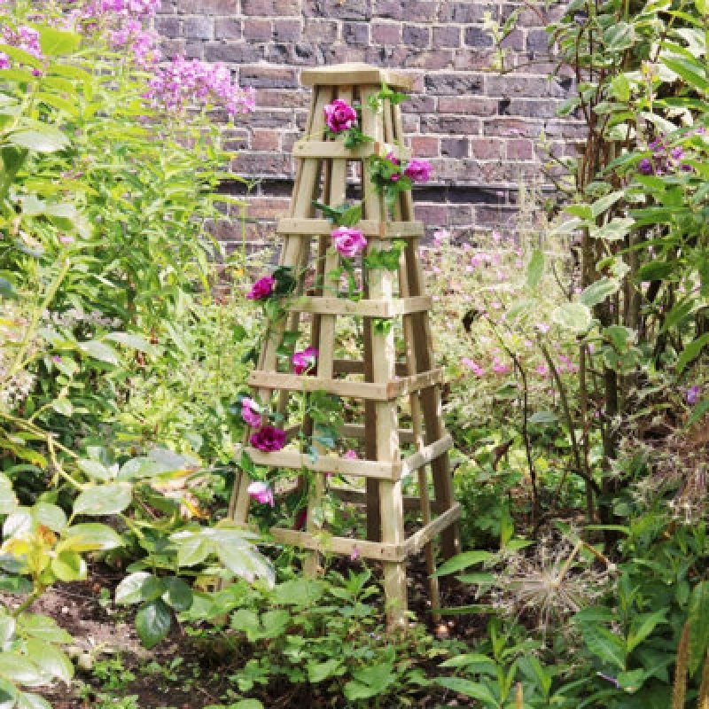 Image of Zest Scafell Pike Obelisk Wooden Garden Plant Rose Flower Support