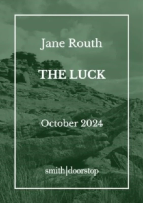 Image of The Luck Paperback / softback