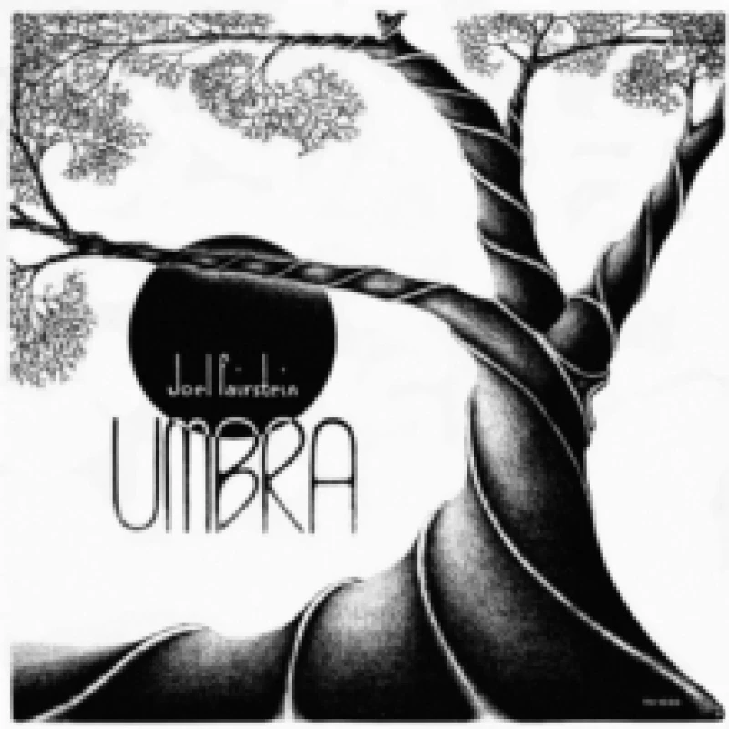 Image of Joel Fairstein Umbra (Vinyl) 12 Album