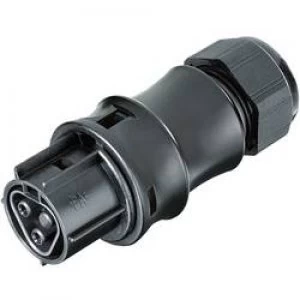 Image of Wieland 96.021.4053.1 Power Connector Gesis IP Series Number of pins 2