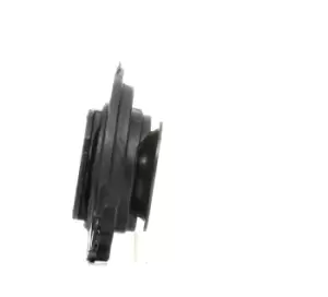 Image of RIDEX Top strut mount Front Axle Right 1180S0042 Strut mount,Top mount RENAULT,NISSAN,Clio III Schragheck (BR0/1, CR0/1),MODUS / GRAND MODUS (F/JP0_)