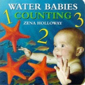 Image of Counting by Zena Holloway Hardback