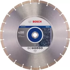 Image of Bosch 2608602603 350x22.23mm DIAMOND DISC EXPERT STONE LPP