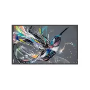 Image of Philips 65 65BDL3511Q/00 Display