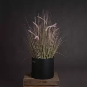 Image of Wild Grass Pot 36 Inch