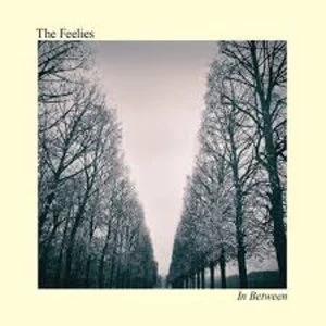 Image of The Feelies - In Between Vinyl