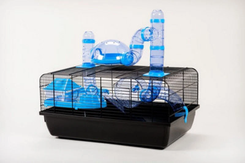 Image of Little Friends The Landmark Cage With Accessories 580X380X290 - Blue