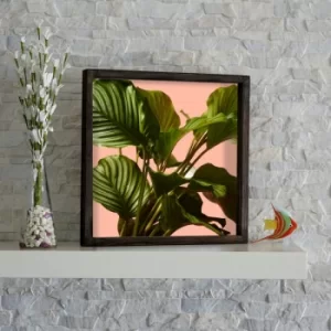 Image of KZM216 Brown Pink Green Decorative Framed MDF Painting