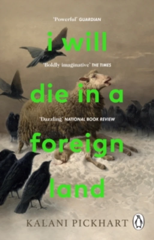 Image of I Will Die in a Foreign Land Paperback / softback