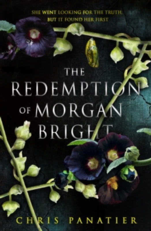 Image of The Redemption of Morgan Bright Paperback / softback