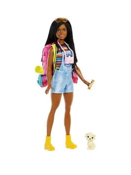 Image of Barbie It Takes Two - Brooklyn Camping Doll With Puppy & Accessories