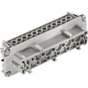 Image of LappKabel 10197000 EPIC H BE 24 BS Socket Insert Socket insert