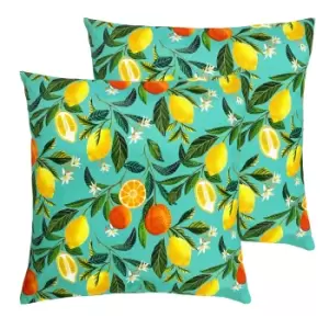 Image of Orange Blossom Outdoor Twin Pack Cushion Multi