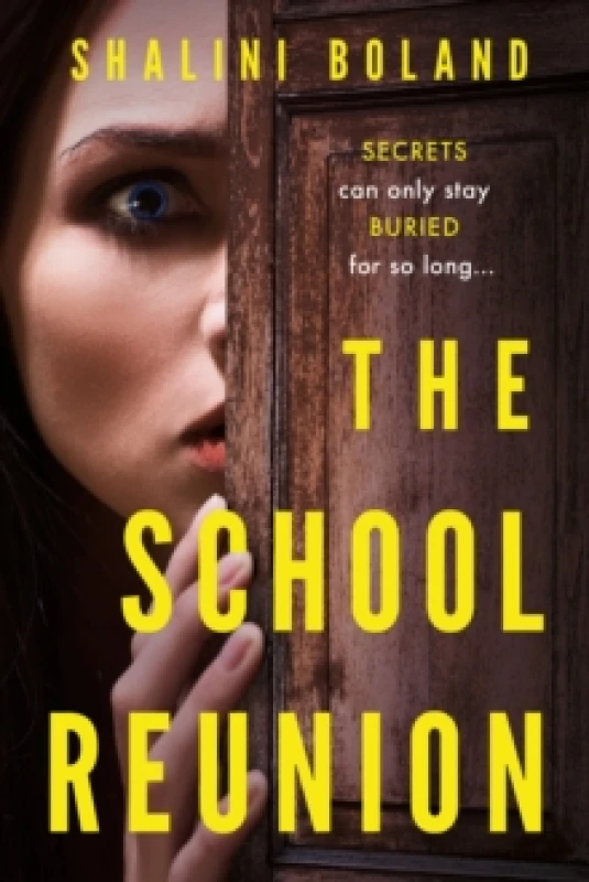 Image of The School Reunion Paperback / softback