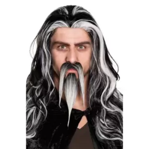 Image of moustache And Beard Of Evil Wizard Fancy Dress