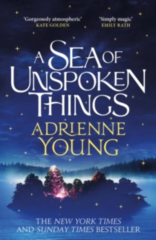 Image of A Sea of Unspoken Things : a spellbinding mystery to lose yourself in Paperback / softback