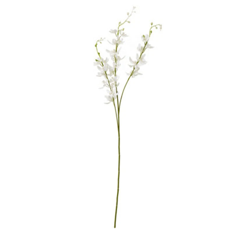 Image of White Cymbidium Spray
