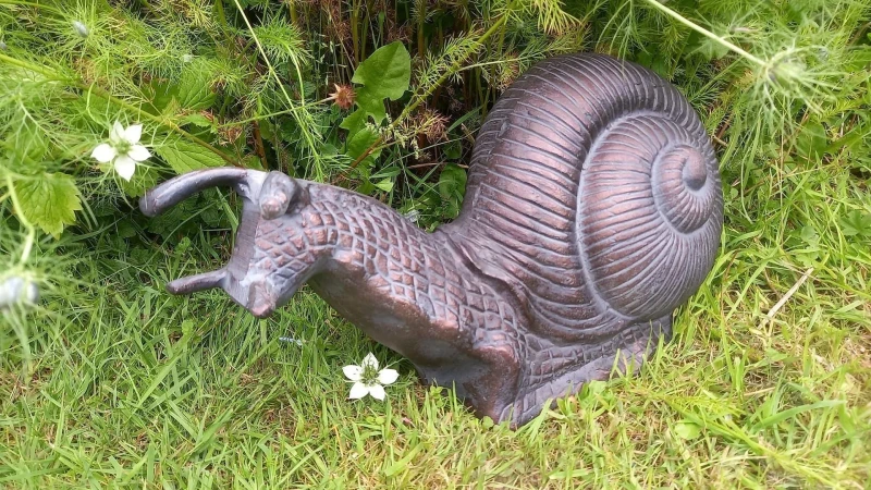 Image of Inspirational Gifting Giant Garden Snail Garden Ornament Sculpture in an Antique Bronze Finish Bronze Unisex
