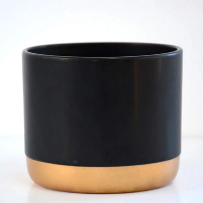 Image of Thompson & Morgan Two-Tone Ceramic Black-Gold 6Cm Small