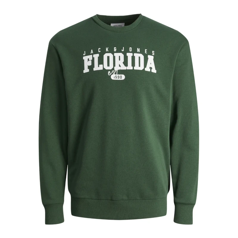 Image of jack & jones Sweatshirt Crewneck child Jack & Jones Cory Vert Male 10 ans