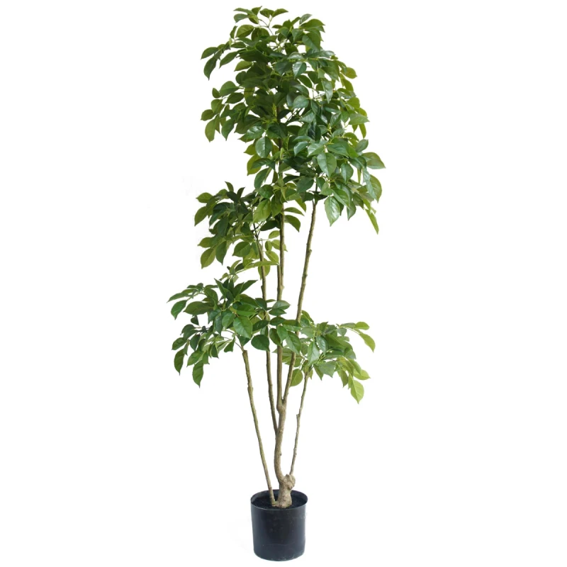 Image of N/A 180cm Radermachera Realistic Artificial Tree