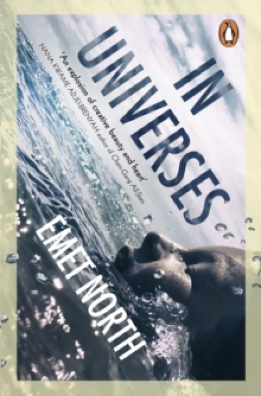 Image of In Universes Paperback / softback