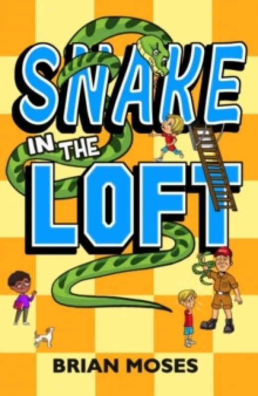 Image of Snake In The Loft Paperback / softback