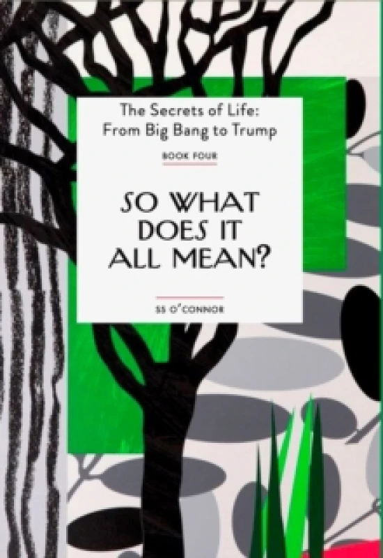 Image of So What Does It All Mean? Paperback / softback