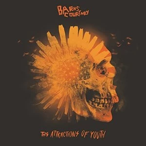 Image of Barns Courtney - The Attractions Of Youth Vinyl
