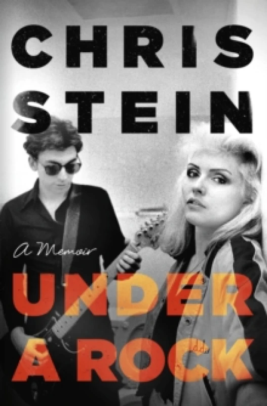Image of Under A Rock Hardback