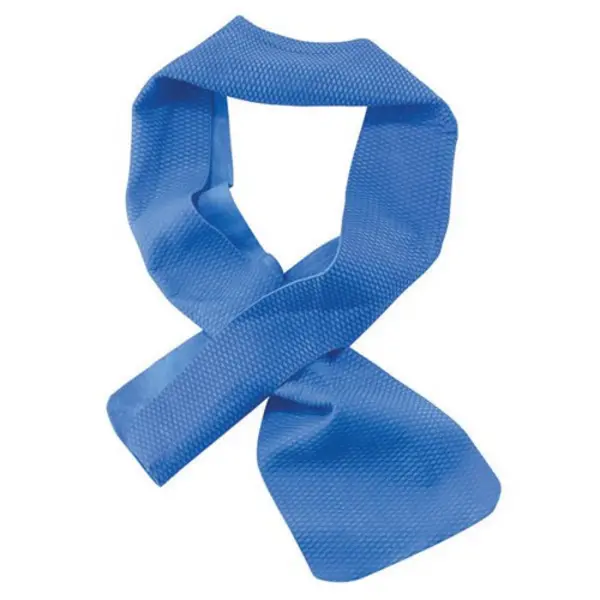 Image of Ergodyne Ergodyne Chill-Its Cooling Towel Blue 10x75cm EY6603