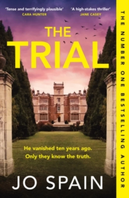 Image of The Trial : the twisty, addictive thriller from the author of DON'T LOOK BACK Paperback / softback