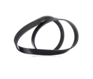 Image of RIDEX V-ribbed belt 305P0336 Serpentine belt,Auxiliary belt FORD,RENAULT,MITSUBISHI,MONDEO II Kombi (BNP),MONDEO II (BAP),MONDEO II Stufenheck (BFP)