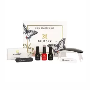 Image of Bluesky Kits Mini Starter Kit: Musk Pink