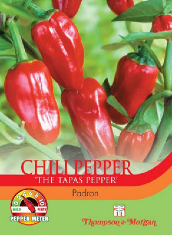 Image of Thompson & Morgan Chilli Pepper Padron 1 Seed Packet (10 Seeds)