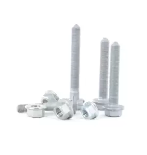 Image of LEMFORDER Repair Kit, wheel suspension Service Pack 39893 01 OPEL,FIAT,SAAB,Vectra C Caravan (Z02),Signum CC (Z03),Vectra C Limousine (Z02)