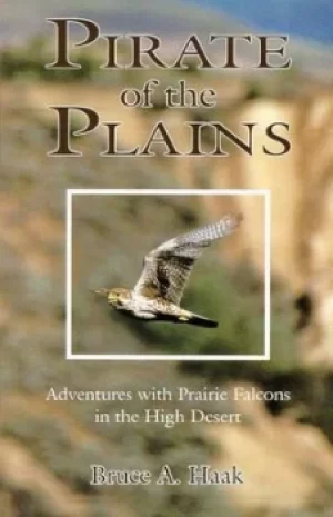 Image of Pirate of the plains by Bruce A Haak