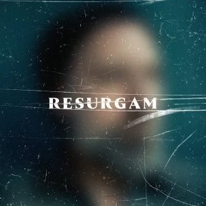 Image of Fink - Resurgam Double Vinyl