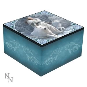 Image of Mirror Box Winter Guardian