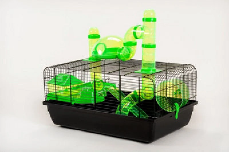 Image of Little Friends The Landmark Cage With Accessories 580X380X290 - Green