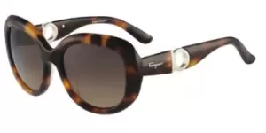 Image of Salvatore Ferragamo Sunglasses SF 727S 214