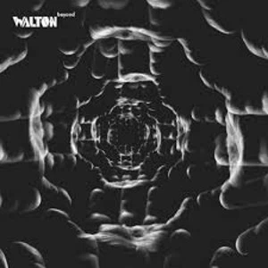 Image of Walton - Beyond Vinyl