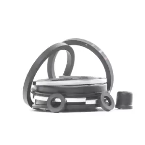 Image of AUTOFREN SEINSA Brake Caliper Repair Kit BMW,OPEL,ALFA ROMEO D4071 795026,91435242300