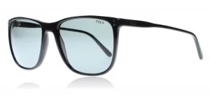 Image of Polo Ralph Lauren PH4102 Sunglasses Shiny Black 500187 55mm