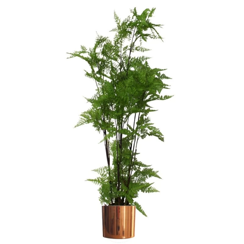 Image of Leaf 150cm Artificial Natural Extra Large Fern Foliage Plant with Copper Metal Plater Green