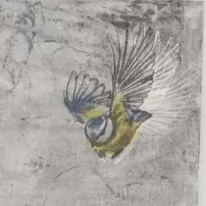 Image of Heliotrope by Mesange Vinyl Album